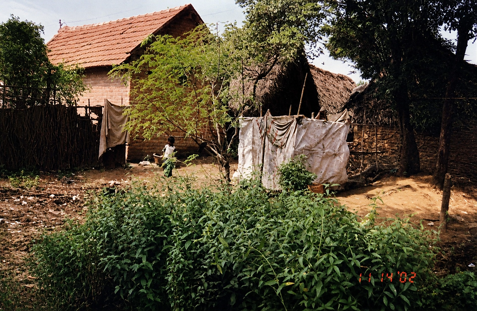 Women empowerment and self-help group programs